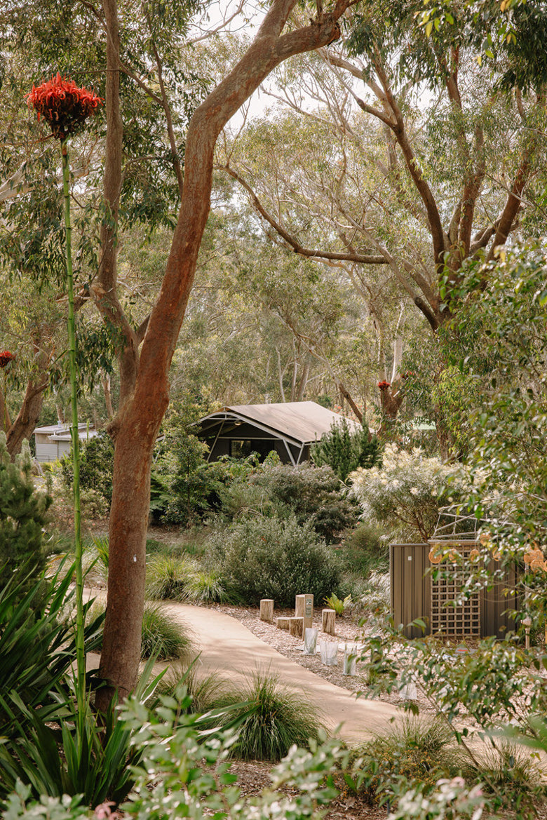 Port Stephens Koala Sanctuary