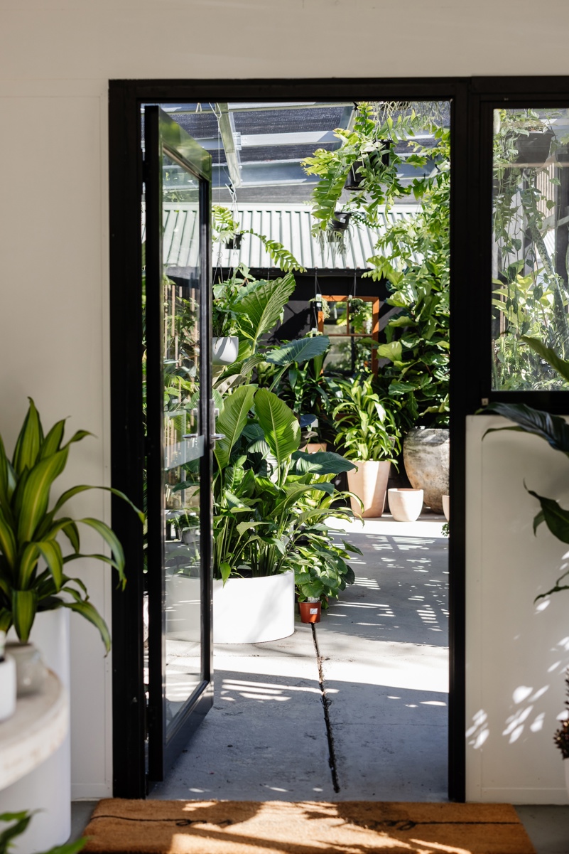 the nursery on glebe adamstown newcastle nsw
