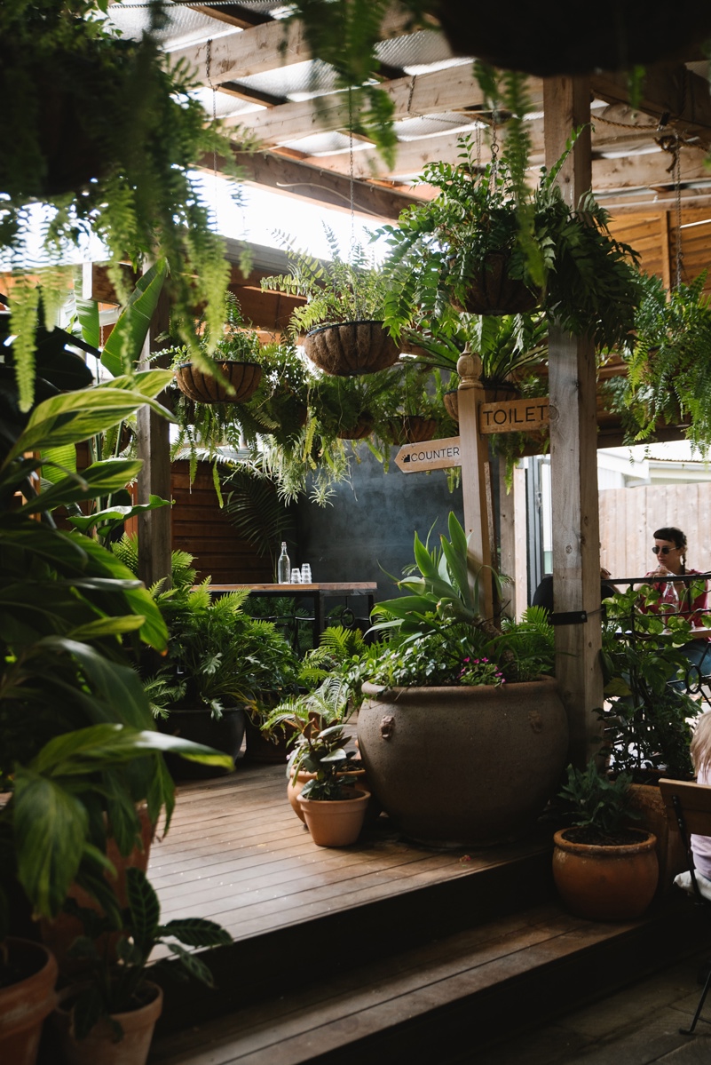 nsw country towns worth a weekend trip from newcastle
