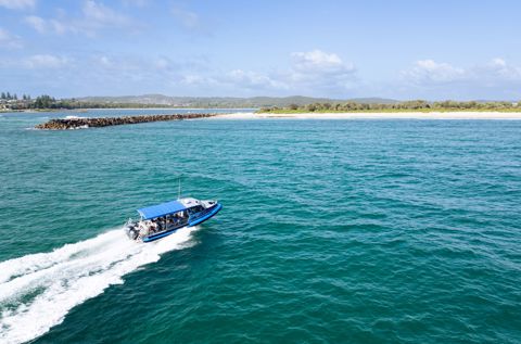 Wildlife Experiences in Lake Macquarie 