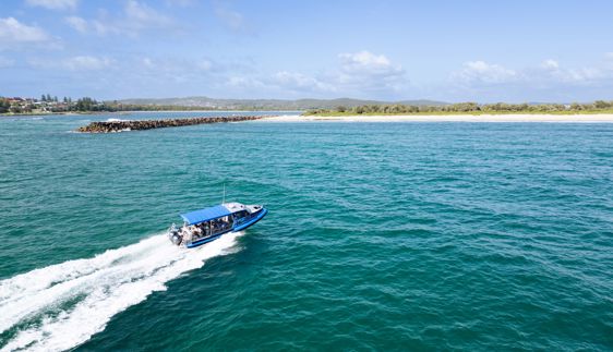 Wildlife Experiences in Lake Macquarie 