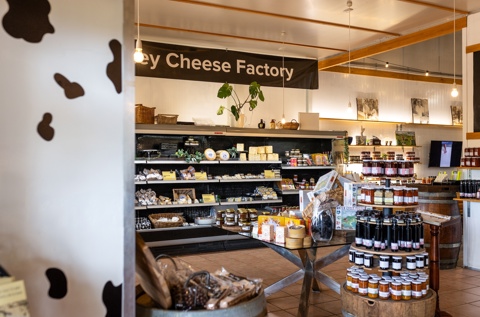 hunter valley cheese factory tasting rooms pokolbin nsw