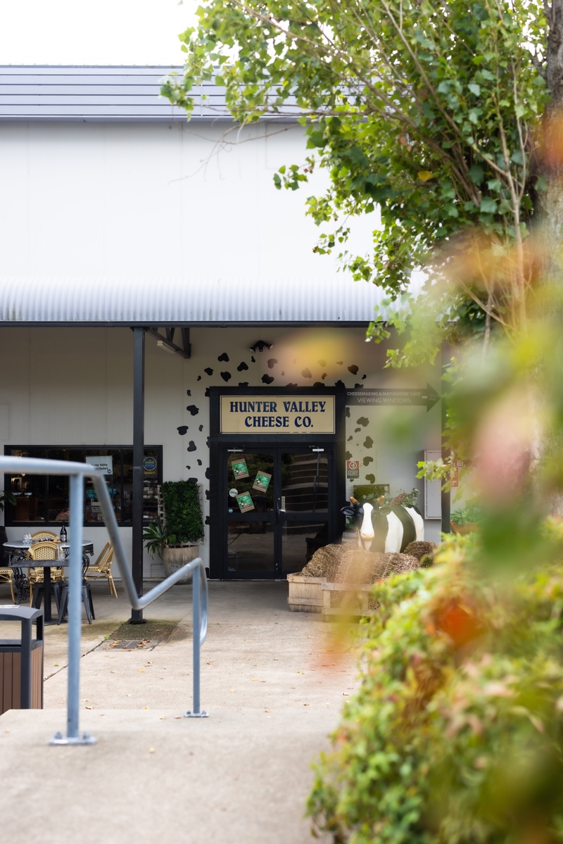 hunter valley cheese factory tasting rooms pokolbin nsw