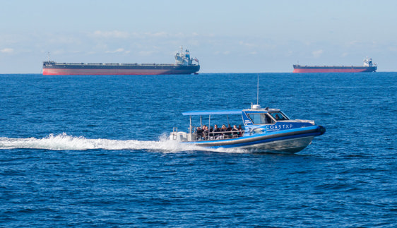 coastxp whale watching tours newcastle