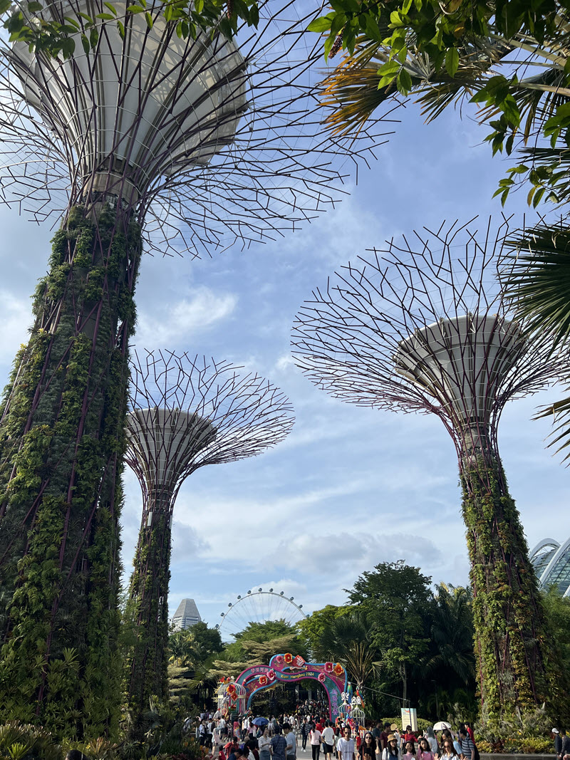 Feeling small in the Supertree Grove at Marina Bay Sands