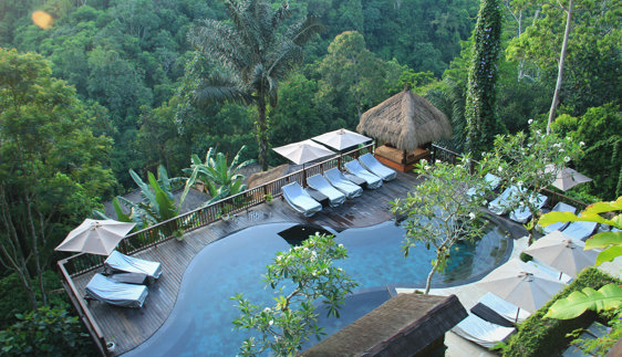 Newcastle to Bali Direct
