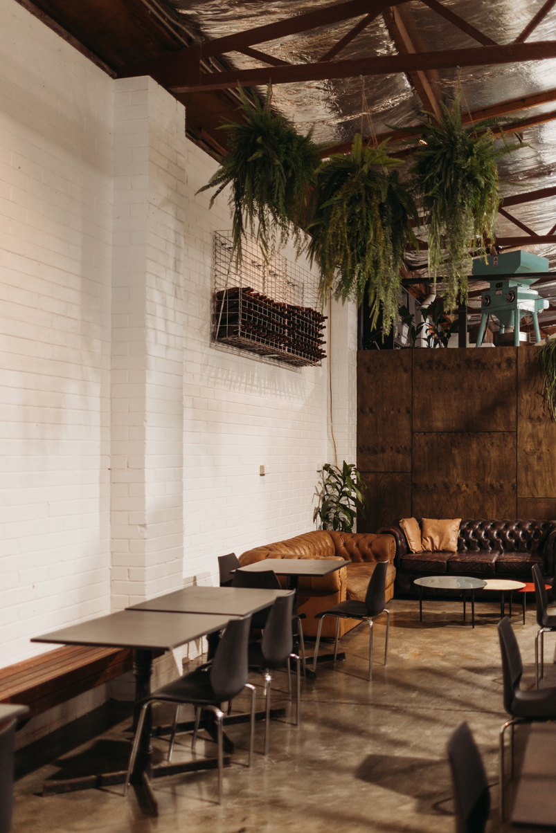 new to newcastle guide