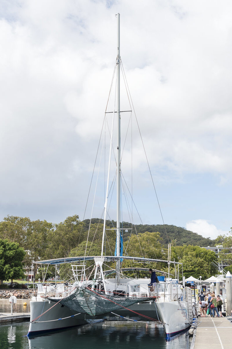 Dolphin Swim Port Stephens