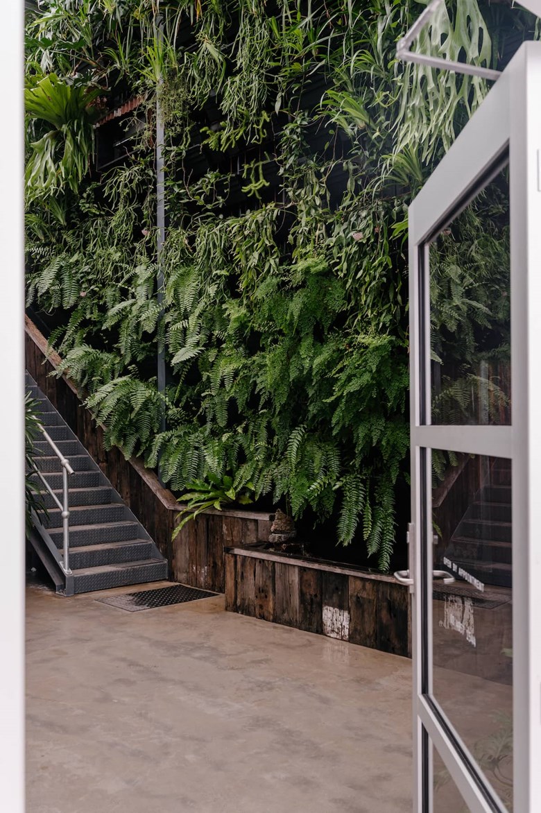moss boss studios indoor outdoor sustainable landscape design newcastle nsw