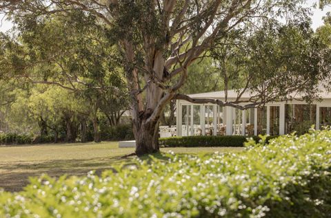 restaurant botanica fine dining experience pokolbin hunter valley nsw