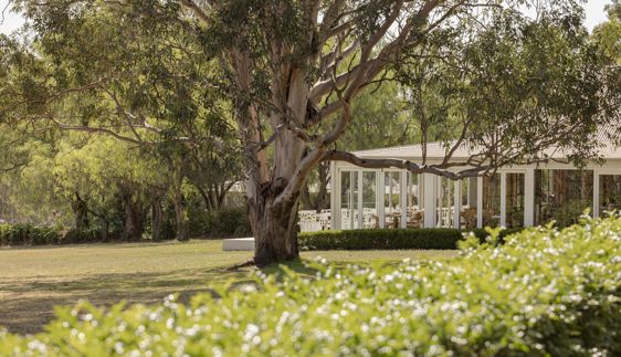 restaurant botanica fine dining experience pokolbin hunter valley nsw