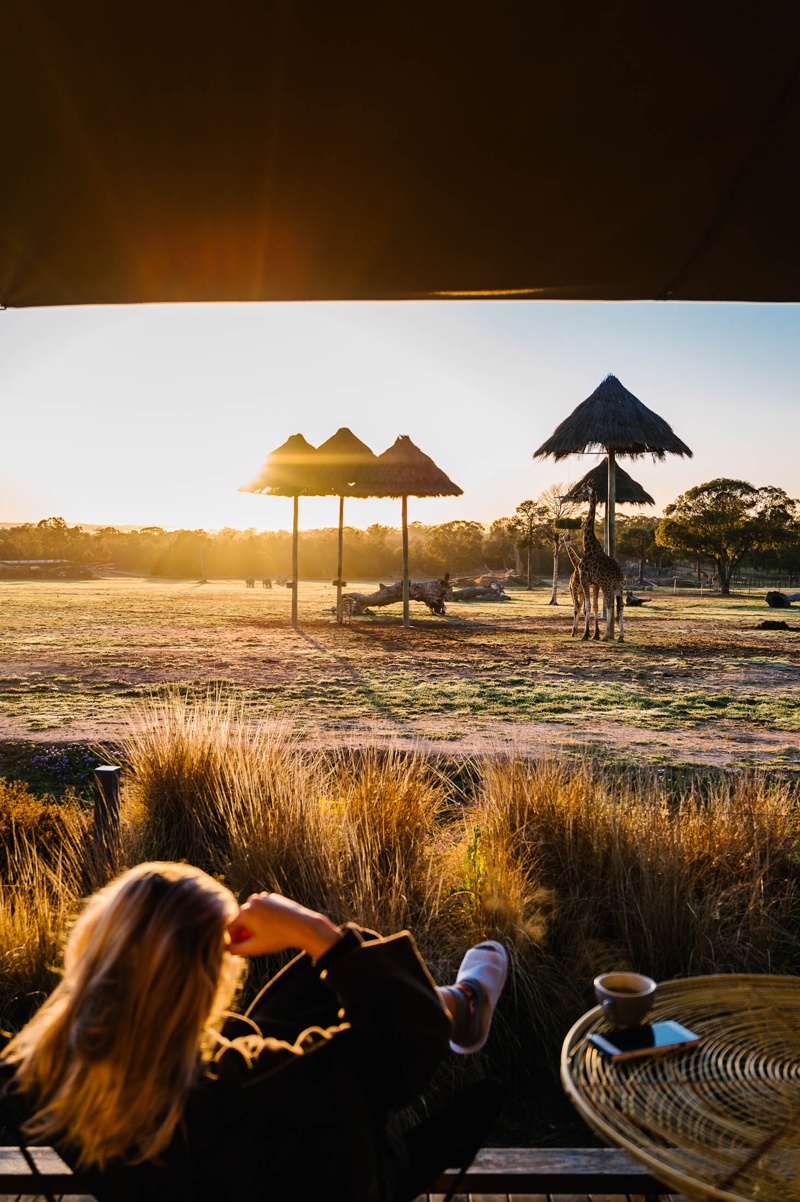 nsw country towns worth a weekend trip from newcastle