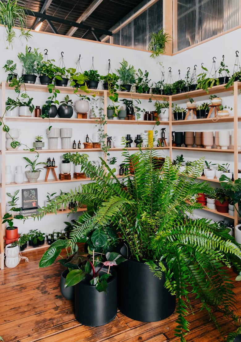 the green altar plant parlour parry st newcastle west nsw
