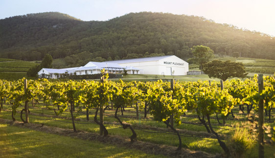 mount pleasant wines hunter valley 