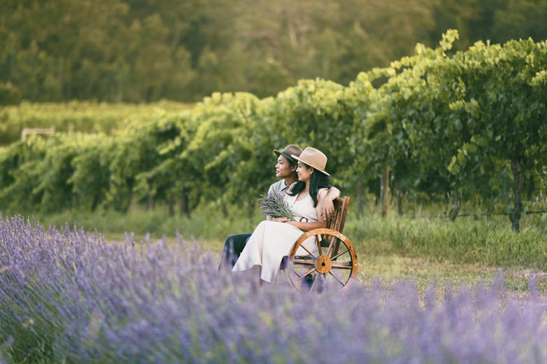 Hunter Lavender Farm