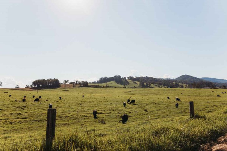The ultimate nature escape awaits you in Dungog