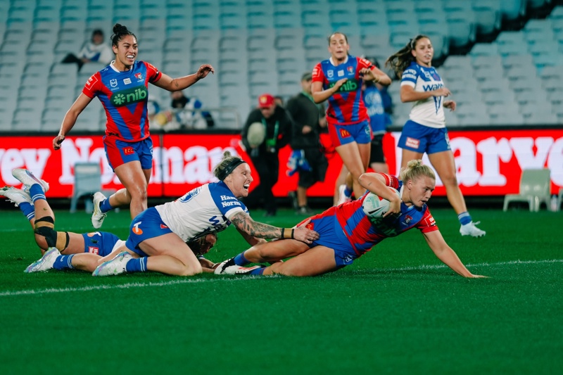 nrlw memberships on sale newcastle knights nsw