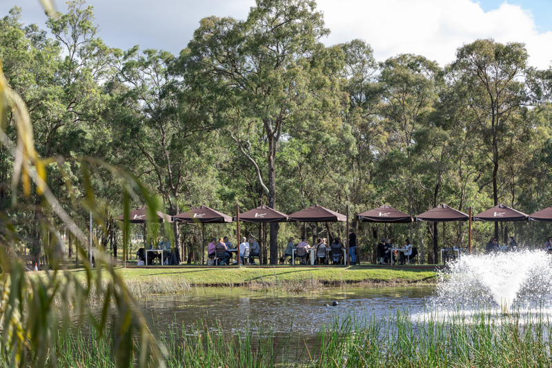 best hunter valley cellar doors for lunch hunters quarter