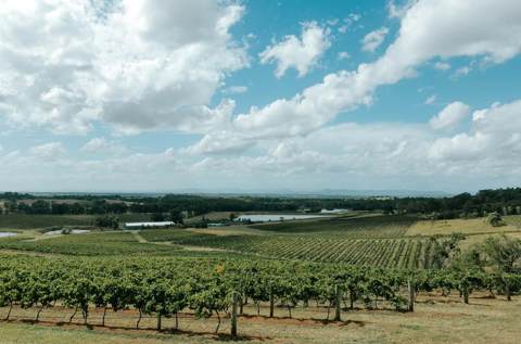 lesser-known hunter valley wine labels