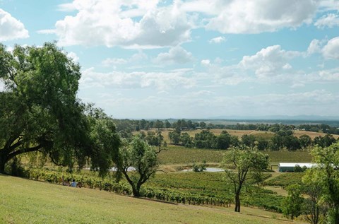 experience the hunter valley this weekend hunter wine region nsw
