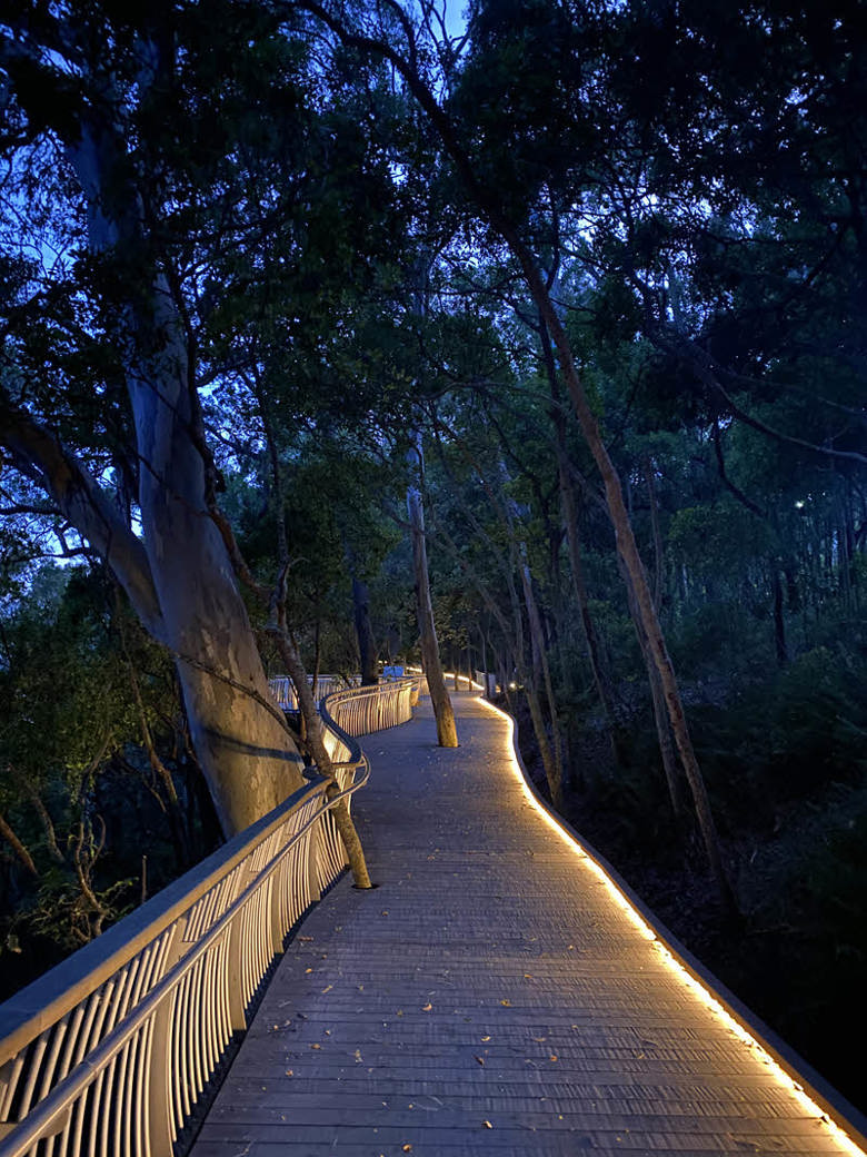 noosa headland national park sunshine coast queensland