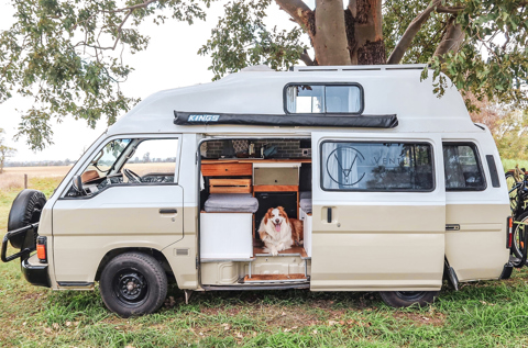 Camplify Pet Perfect Getaways