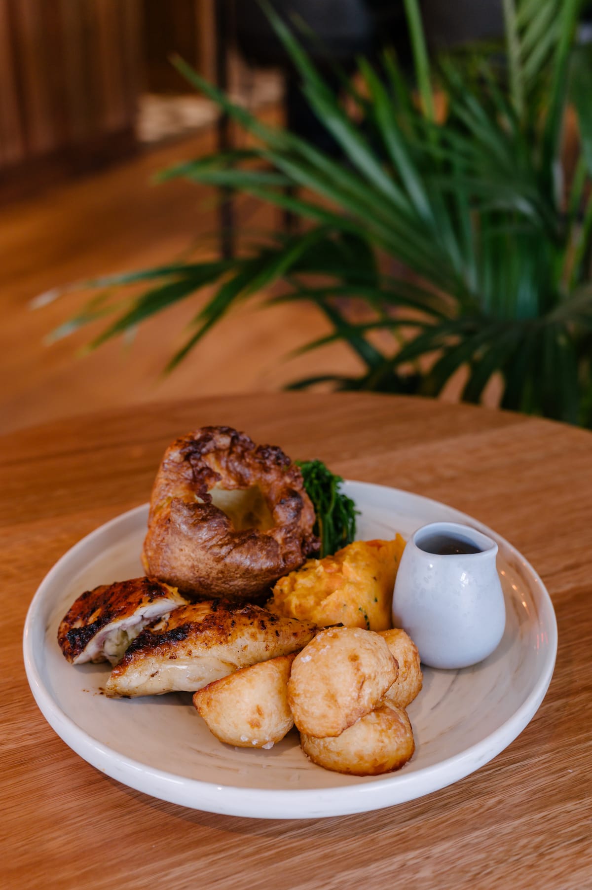 sunday roasts hotel delany darby st cooks hill newcastle nsw