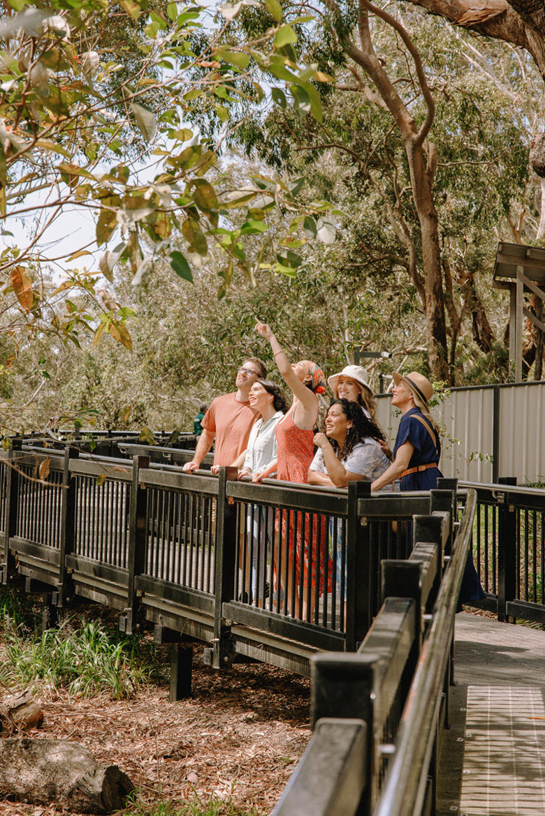 Port Stephens Koala Sanctuary