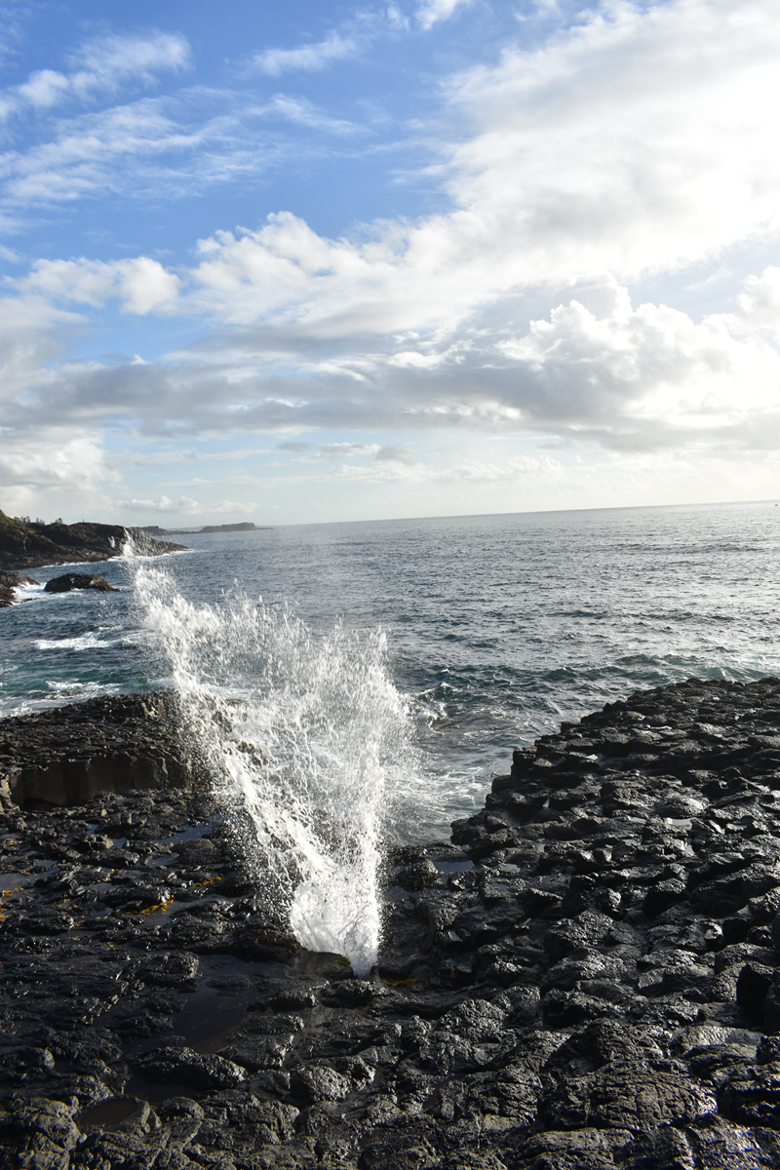 Camplify South Coast Camping Spots