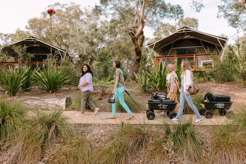 Port Stephens Koala Sanctuary