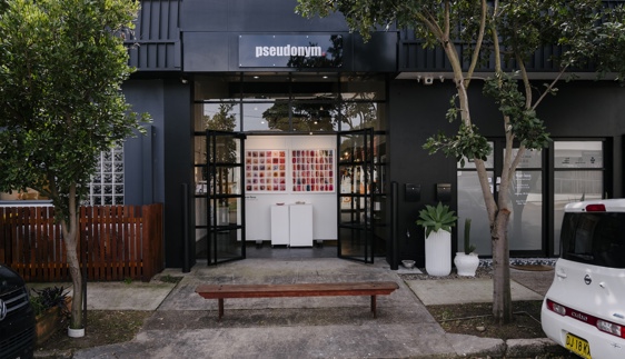pseudonym gallery wickham newcastle nsw