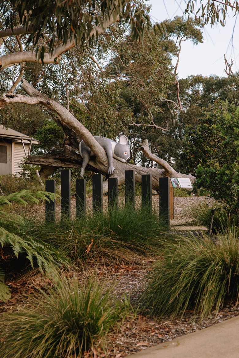 Koala Sanctury Port Stephens