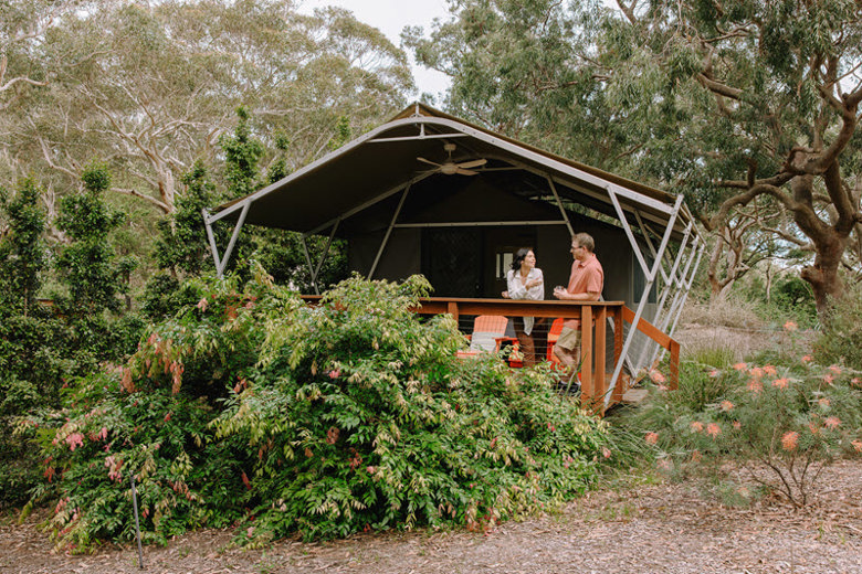 Port Stephens Koala Sanctuary