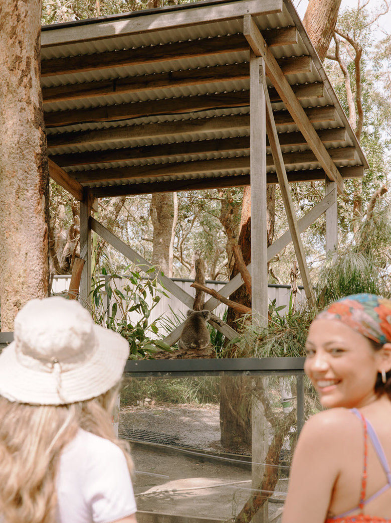 Port Stephens Koala Sanctuary