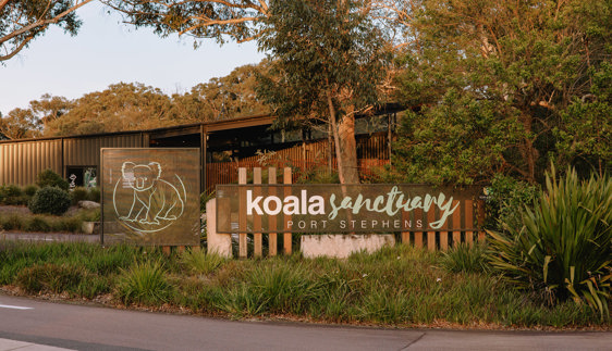port stephens koala sanctuary one mile things to do