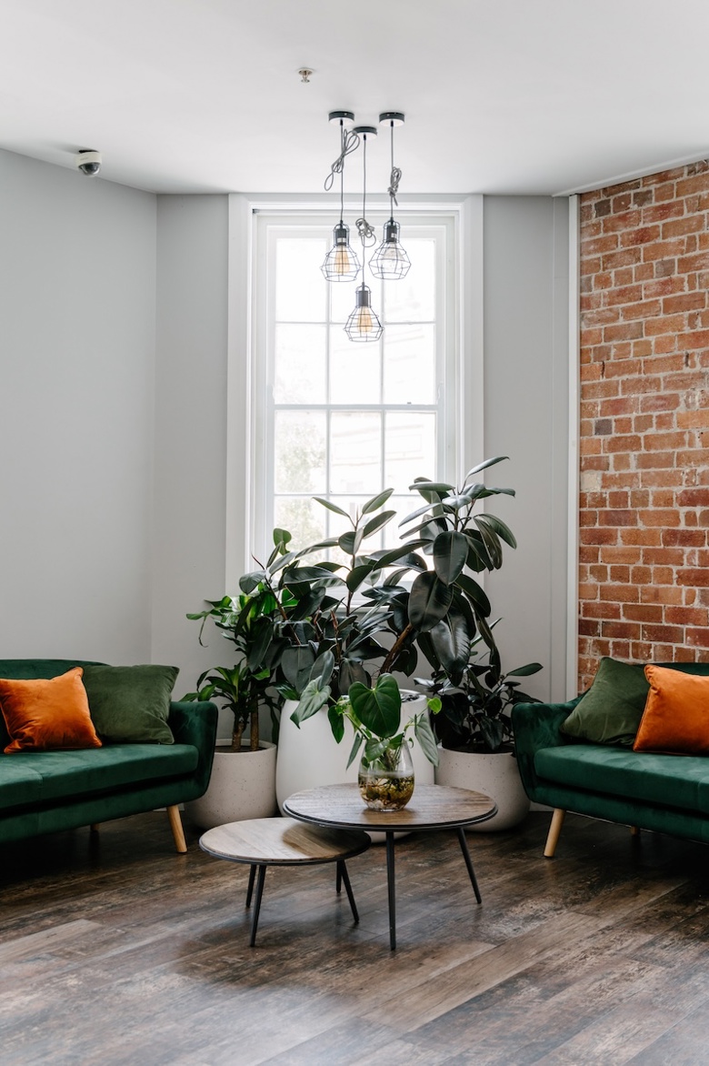 sprout dining newcastle