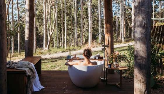 the cabin carawirry forest escape accommodation dungog nsw