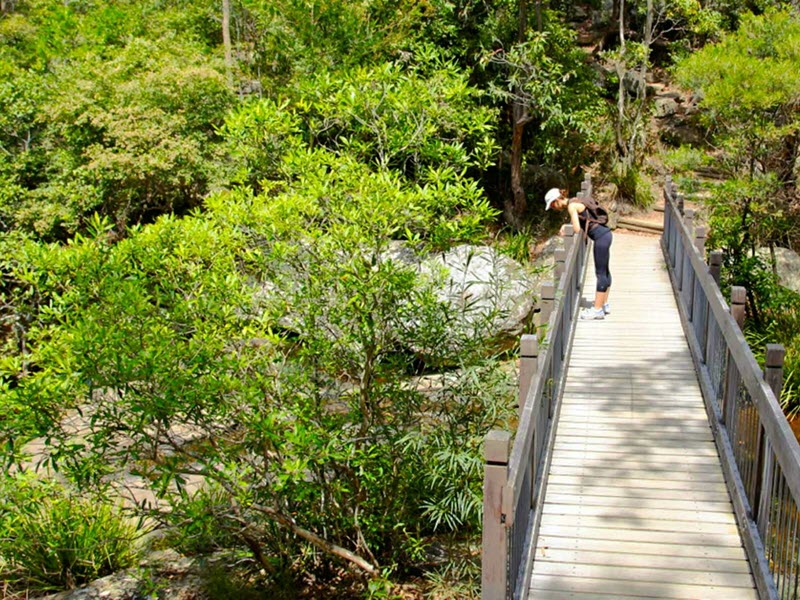 Glenrock Waterfalls