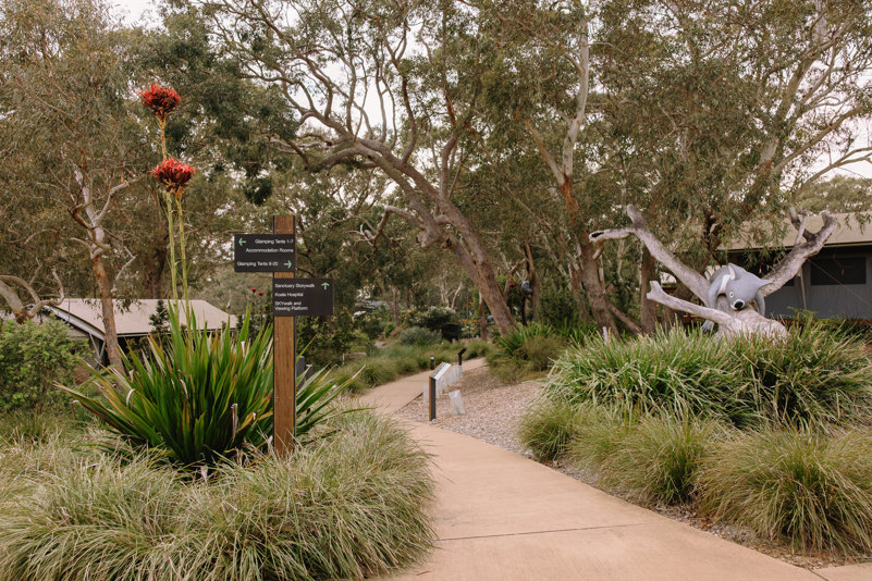 Port Stephens Koala Sanctuary