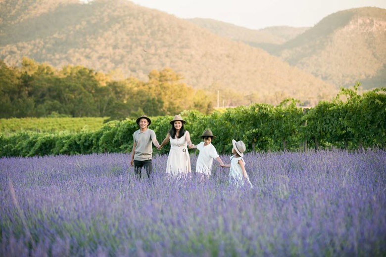 Hunter Lavender Farm