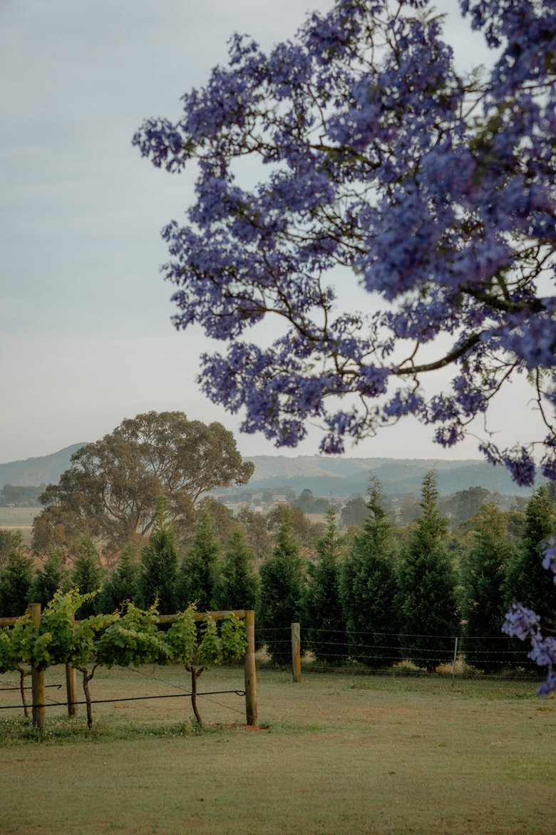 Tranquil Vale Estate