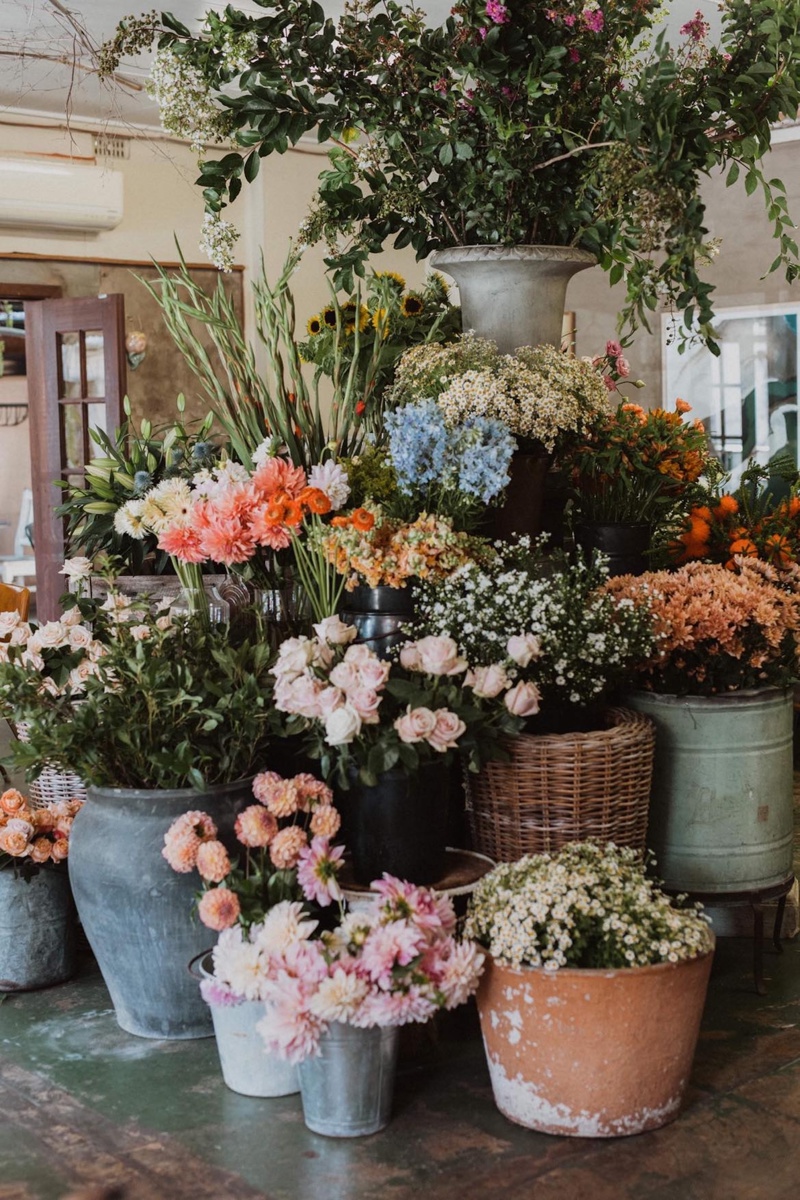 wow flowers and worn out wares singleton
