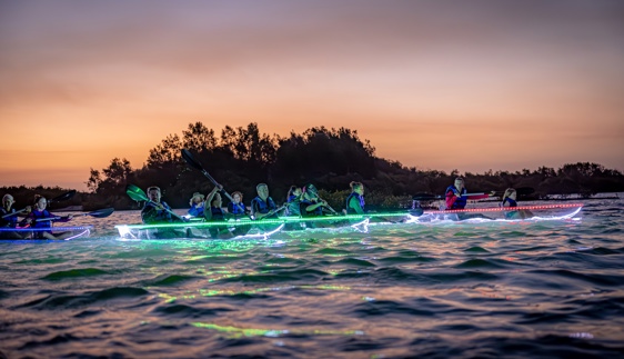 showtime kayaking lake macquarie nsw