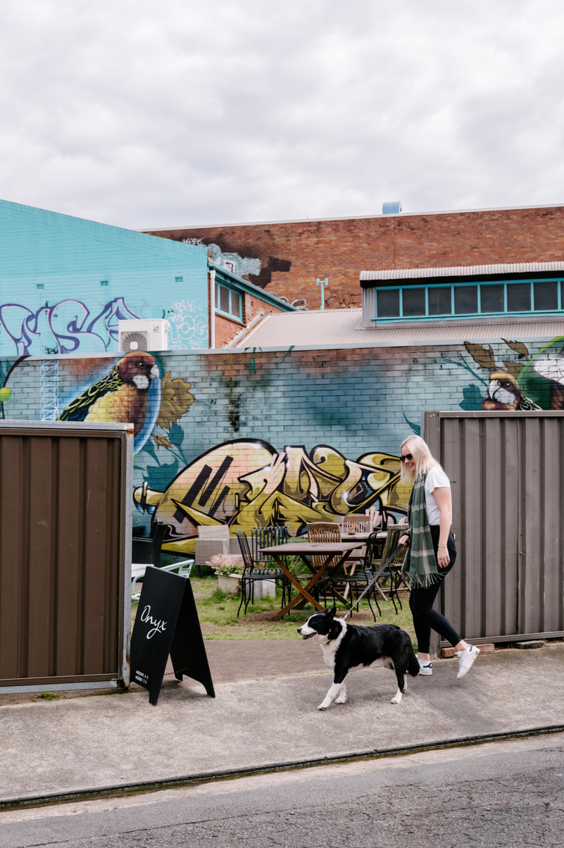 dog friendly cafes pubs and bars newcastle nsw