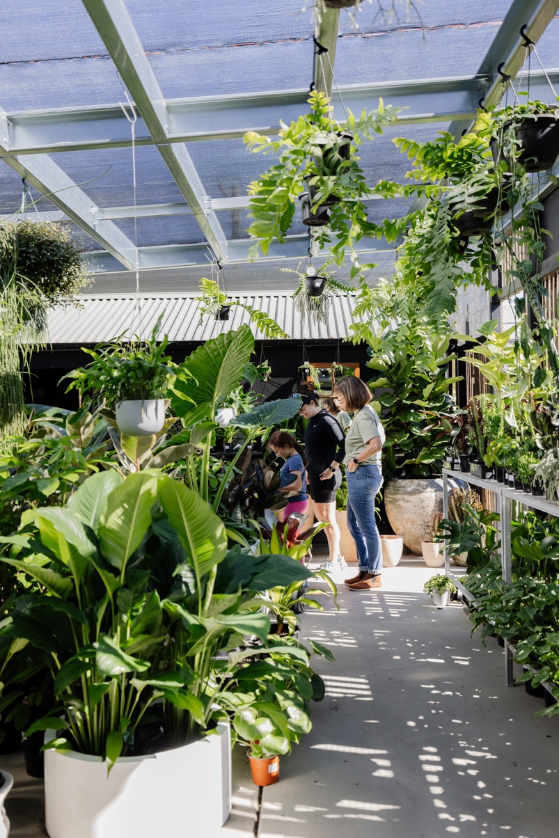 the nursery on glebe adamstown newcastle nsw