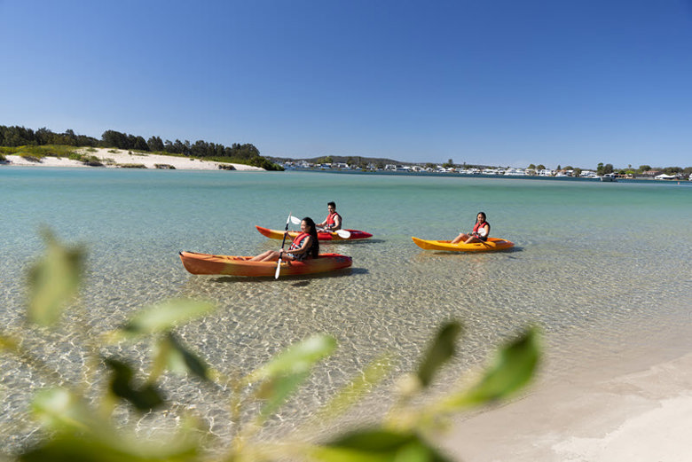 Lake Macquarie Wildlife Experiences