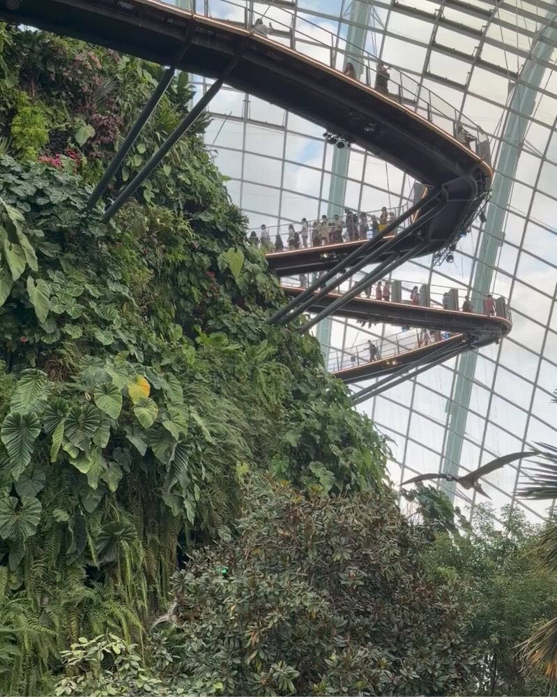 Singapore Cloud Forest