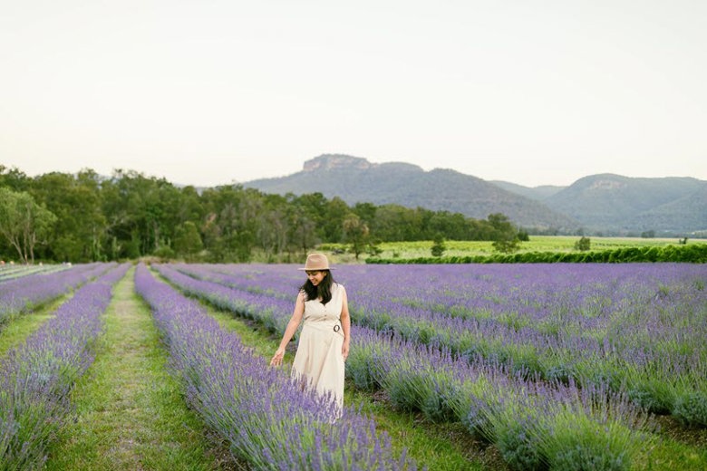 Hunter Lavender Farm